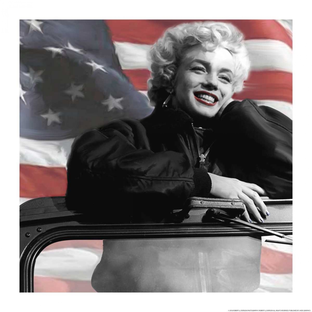 My Favorite In Flag