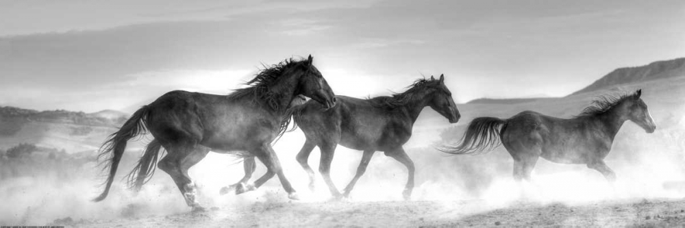 Rolling By