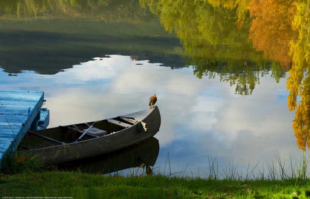 Lake Reflection
