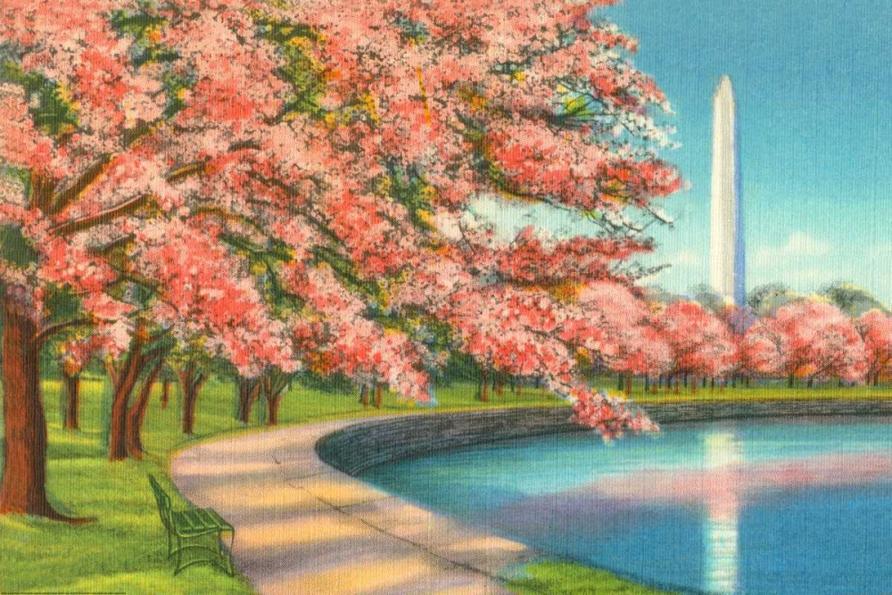 Washington Dc