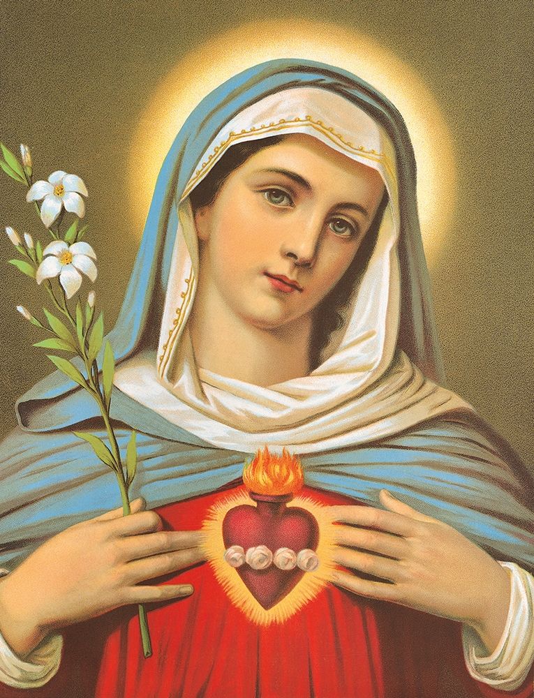HL. HERZ MARIAE