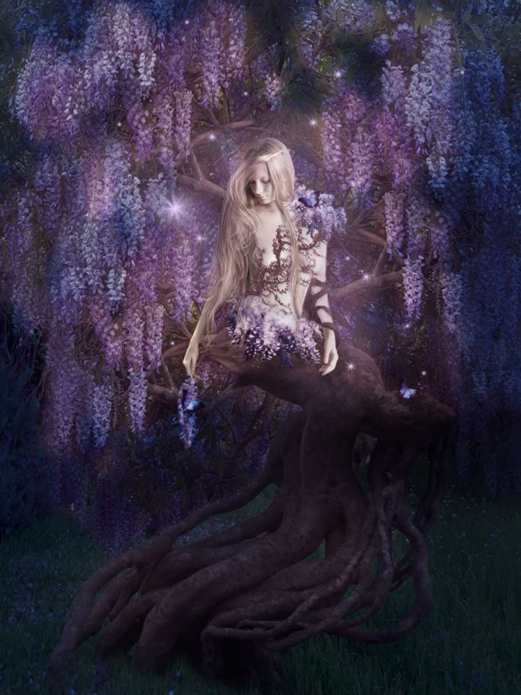 Wisteria