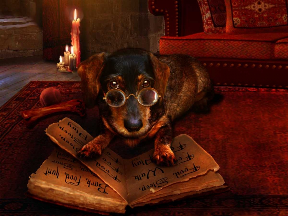 The book of Dogtalk