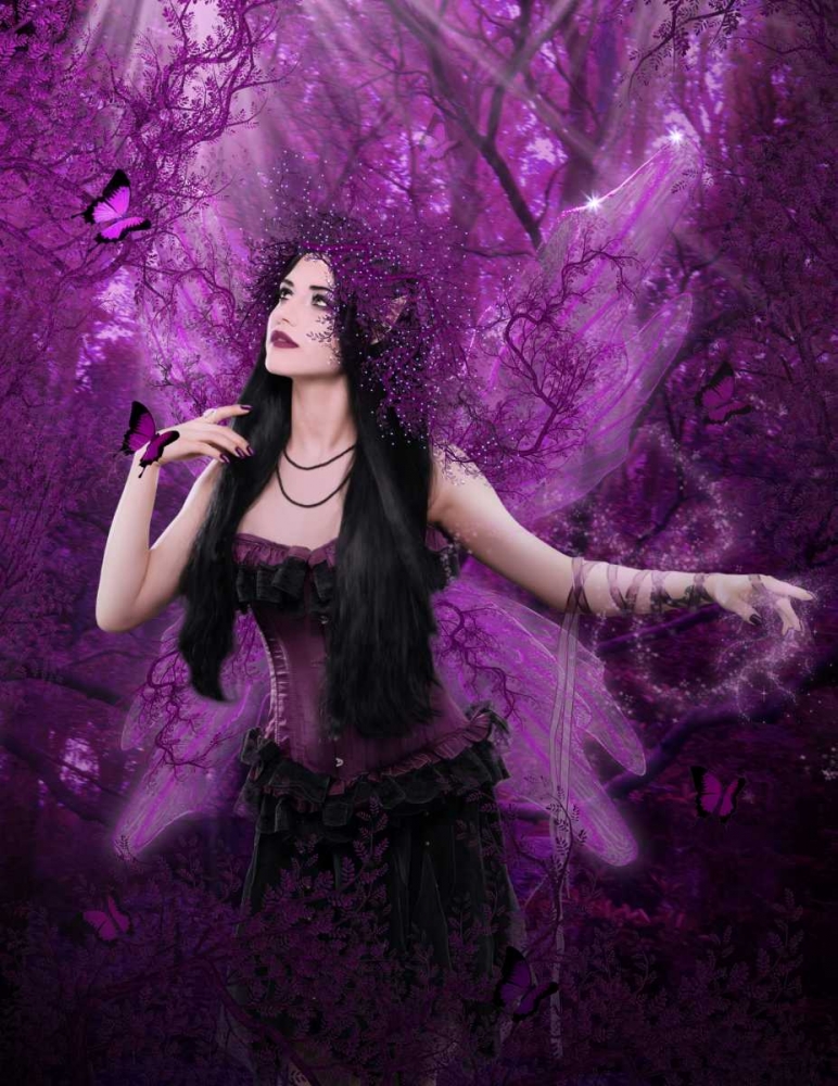 Fairy 32