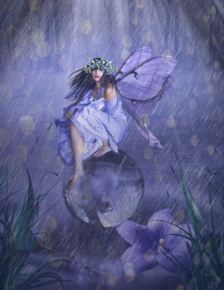Fairy 41