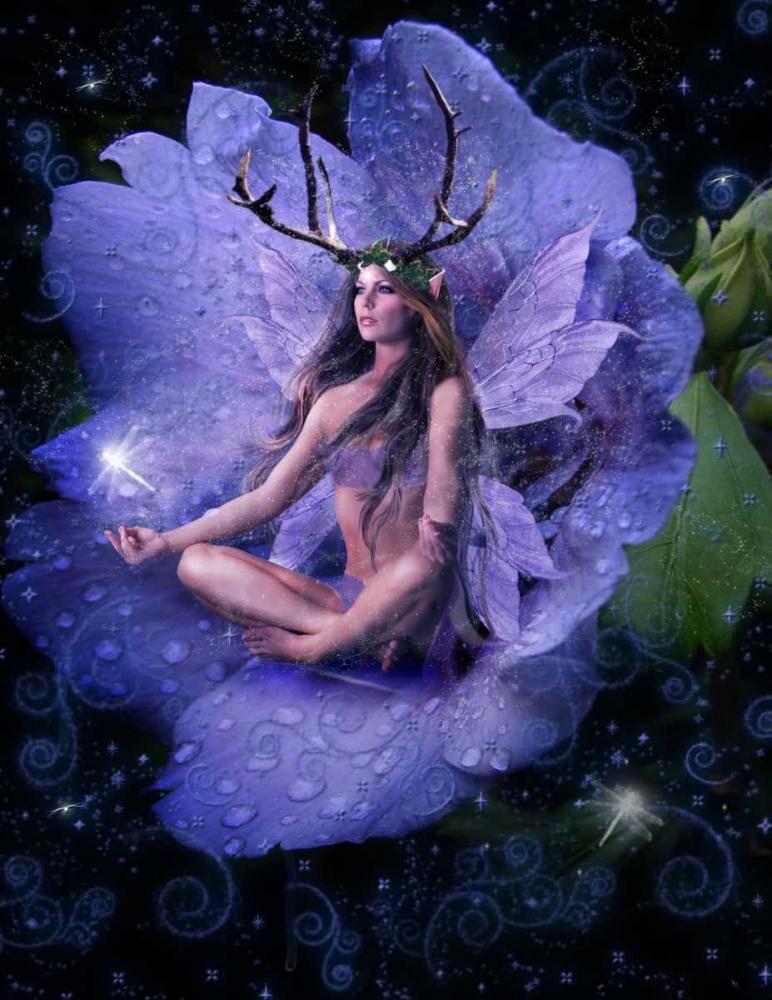Fairy 26