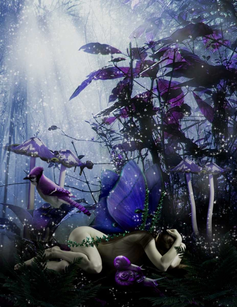 Fairy 39