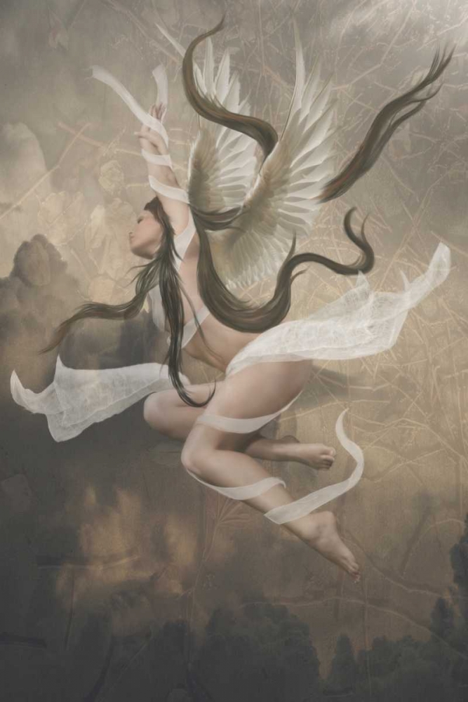 Angel 1