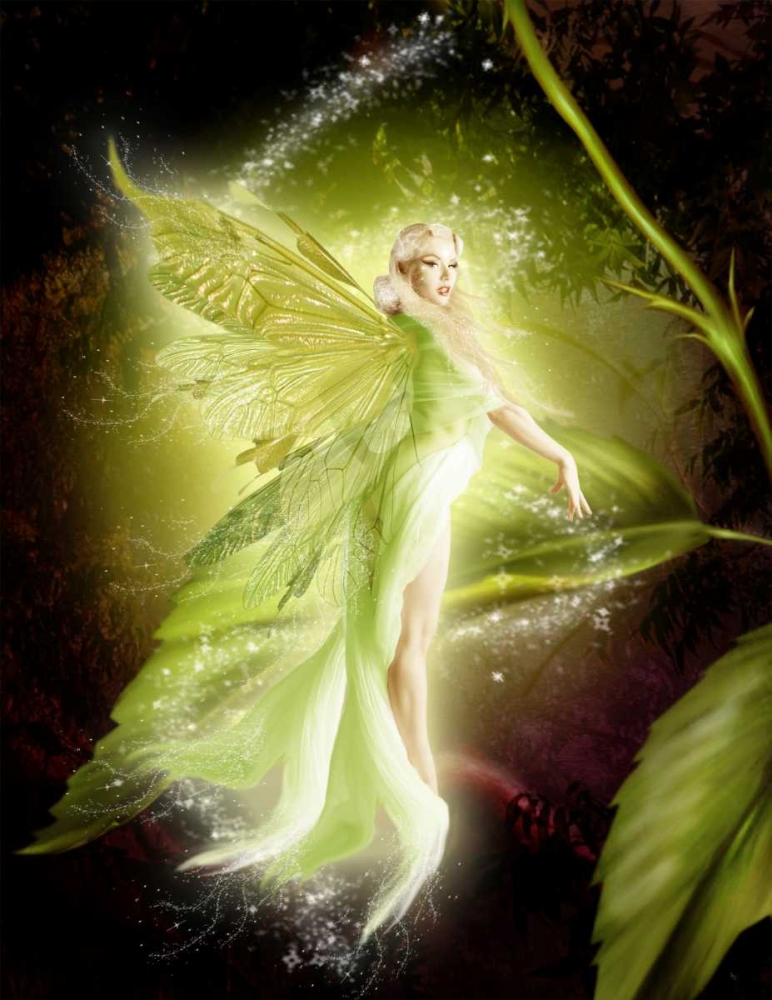 Fairy 5