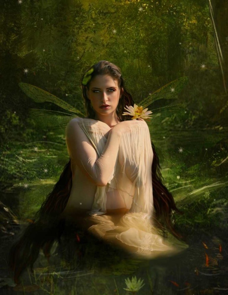 Fairy 7