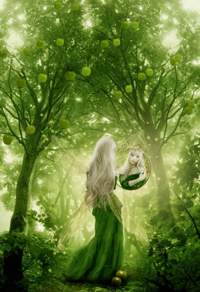 Fairy 15