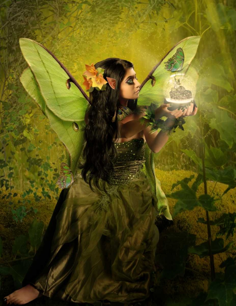 Fairy 16