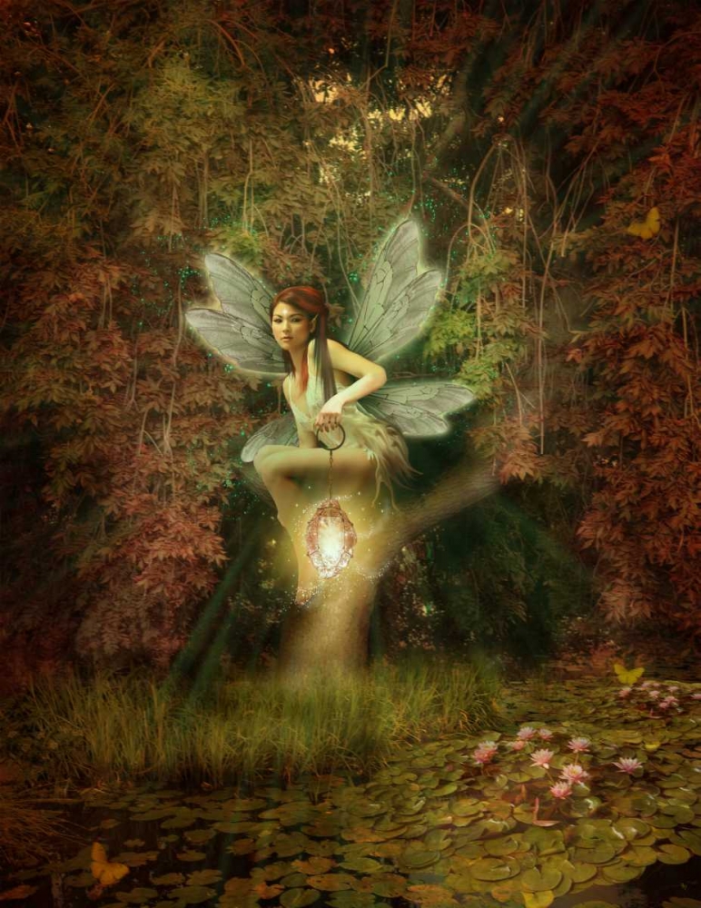 Fairy 17