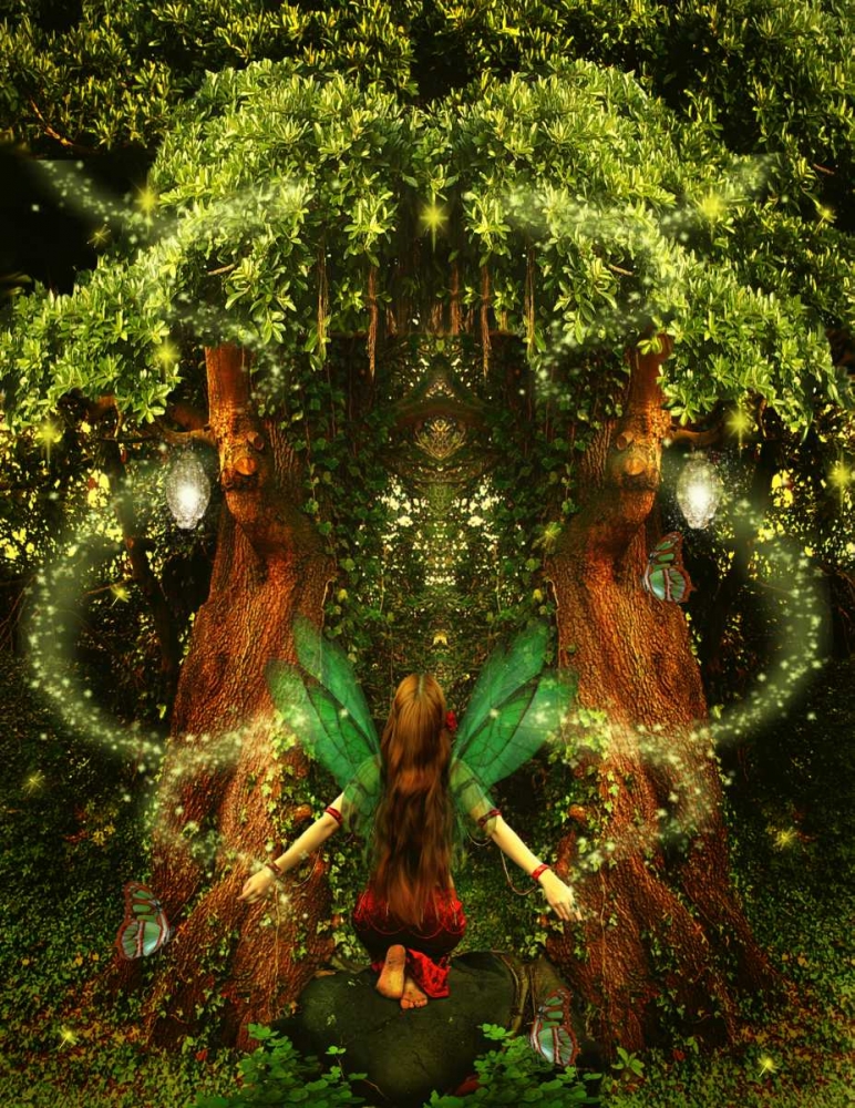 Fairy 38