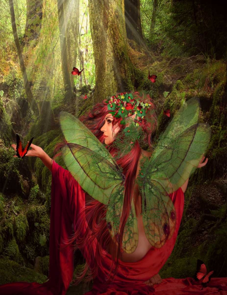 Fairy 43