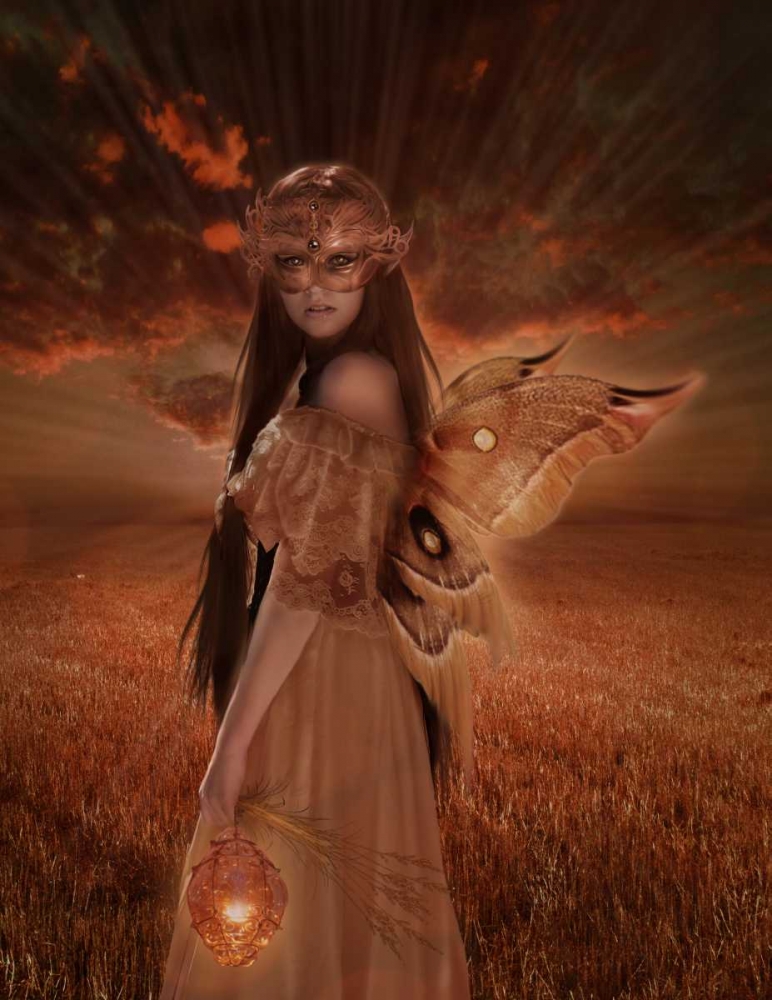 Fairy 35