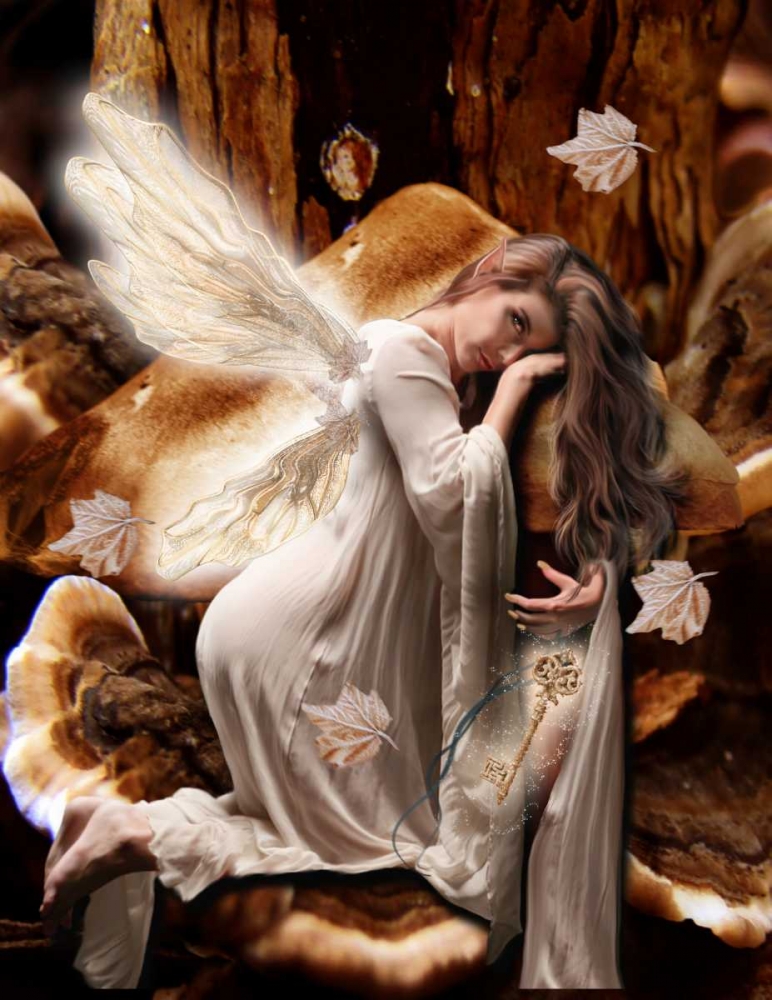 Fairy 45