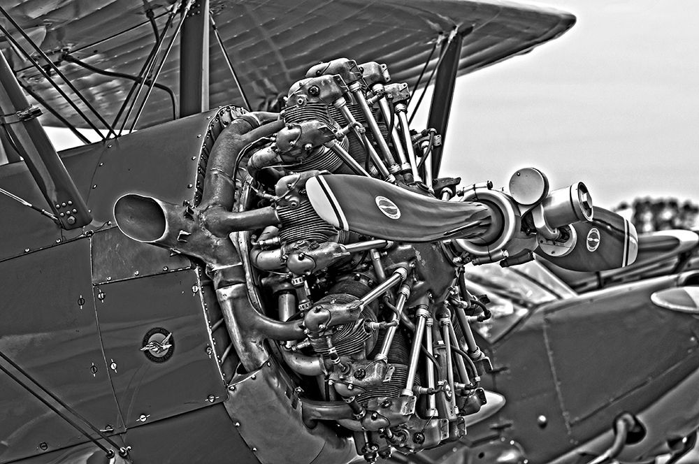 ENGINE IN BLACK AND WHITE II