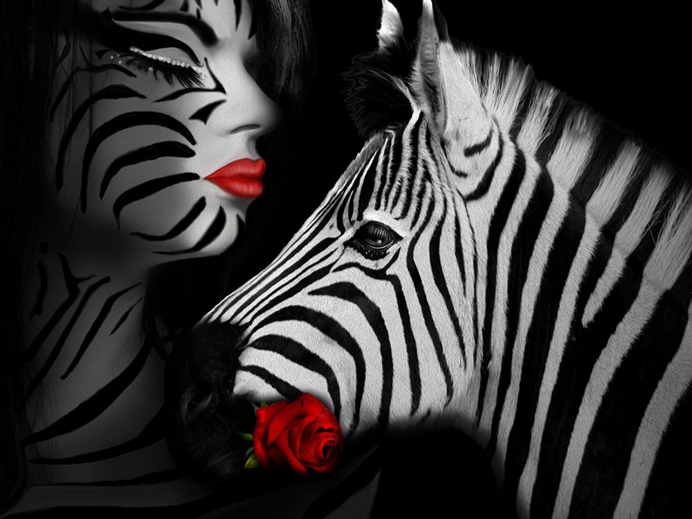 Zebra Love