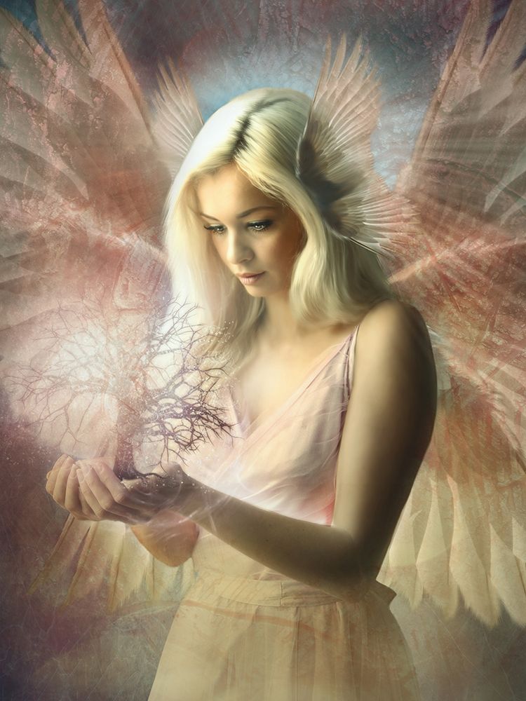 Angel JehoÃ«l