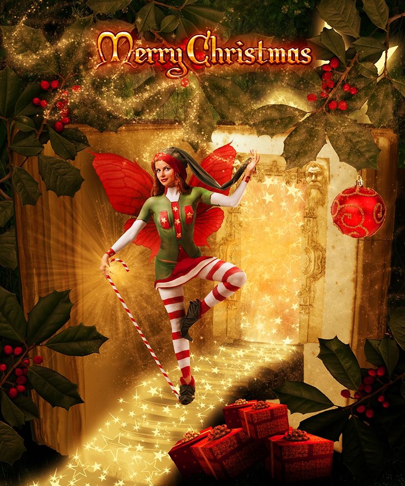 Christmas joy