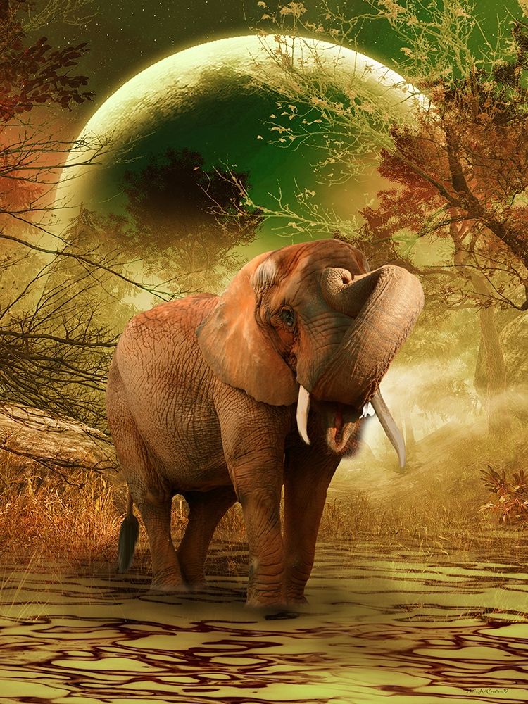 The Elephant Ricardo 2