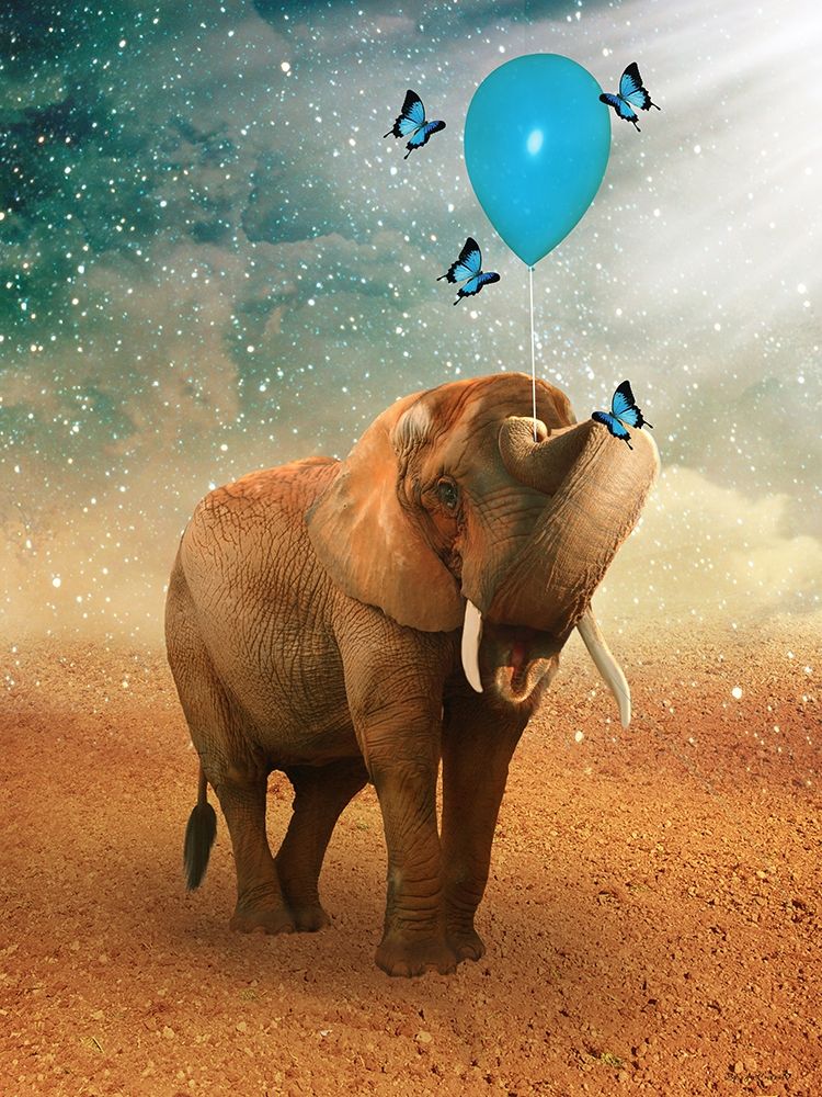 The Elephant Ricardo 4