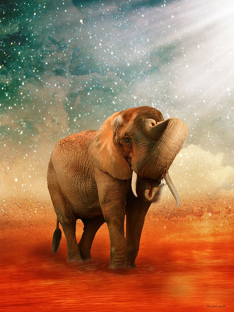 The Elephant Ricardo 5