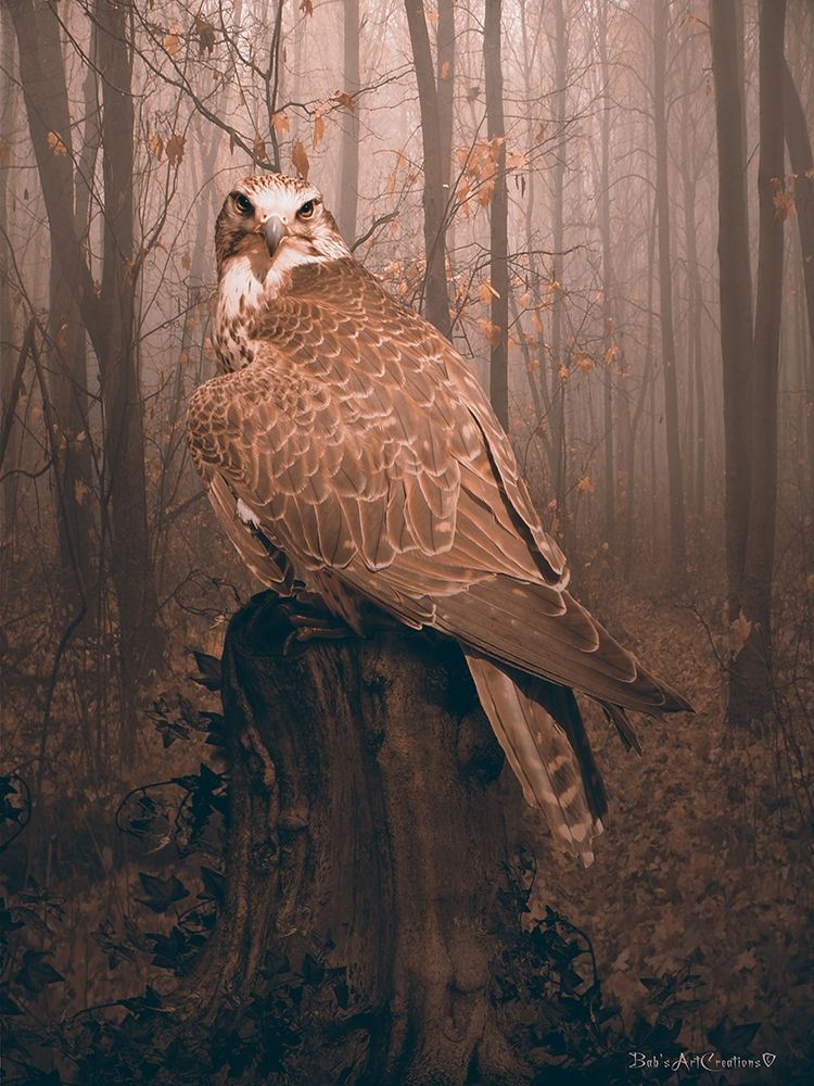 Falcon