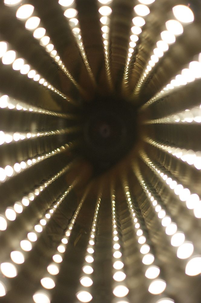 Lights I