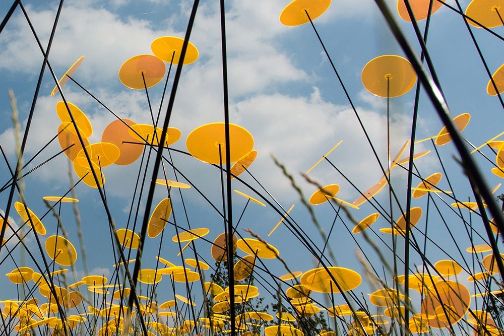 Yellow Disks II