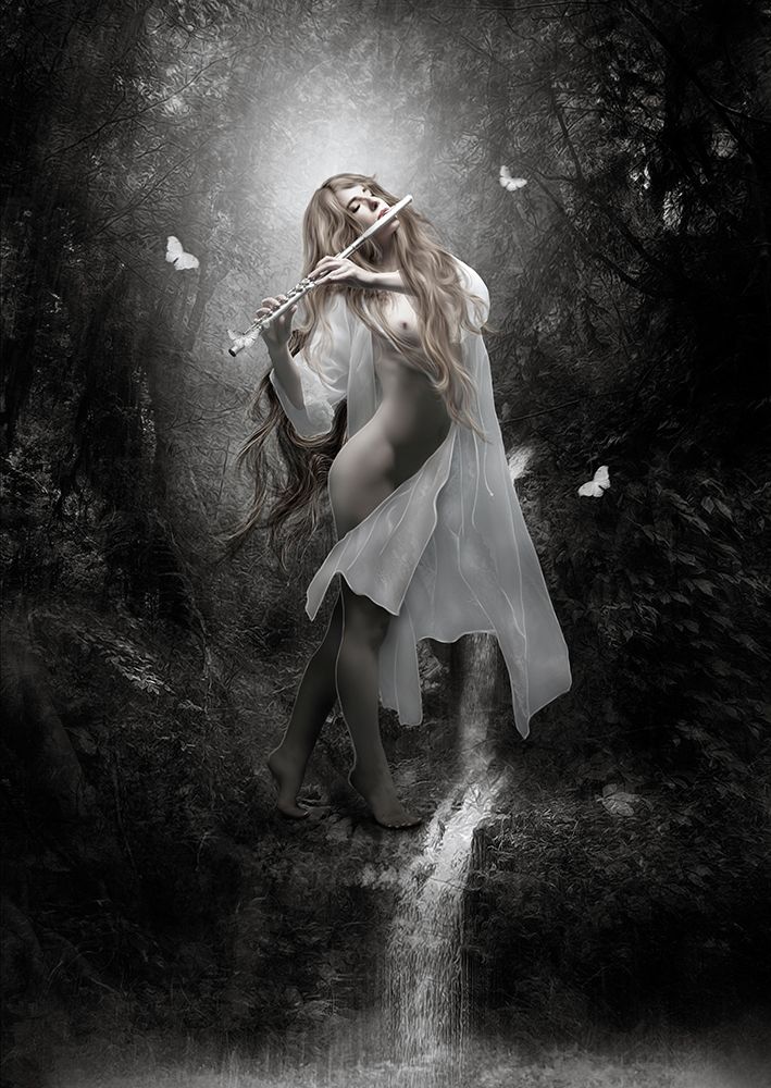 Euterpe