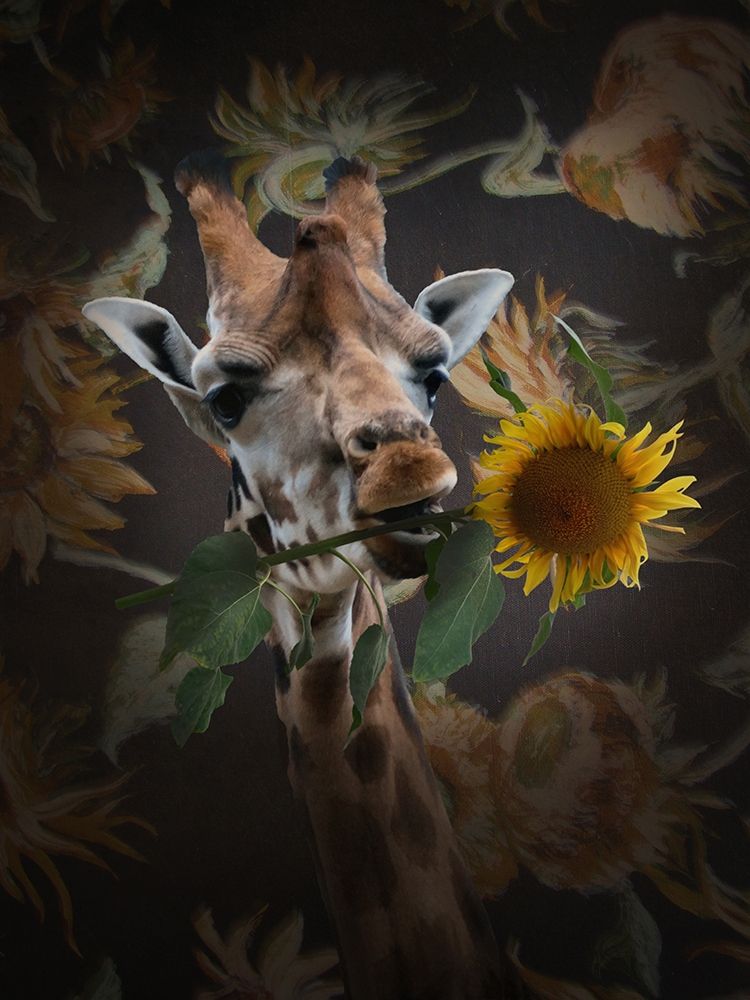 Giraf Met Bloem