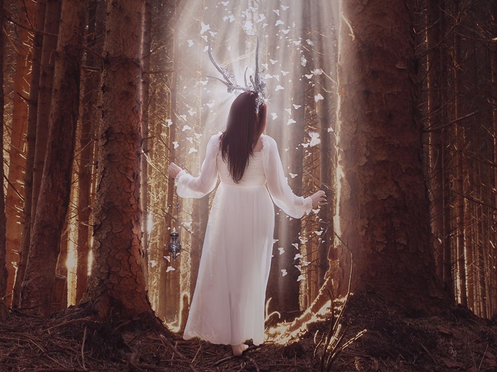 Peacefull Wood