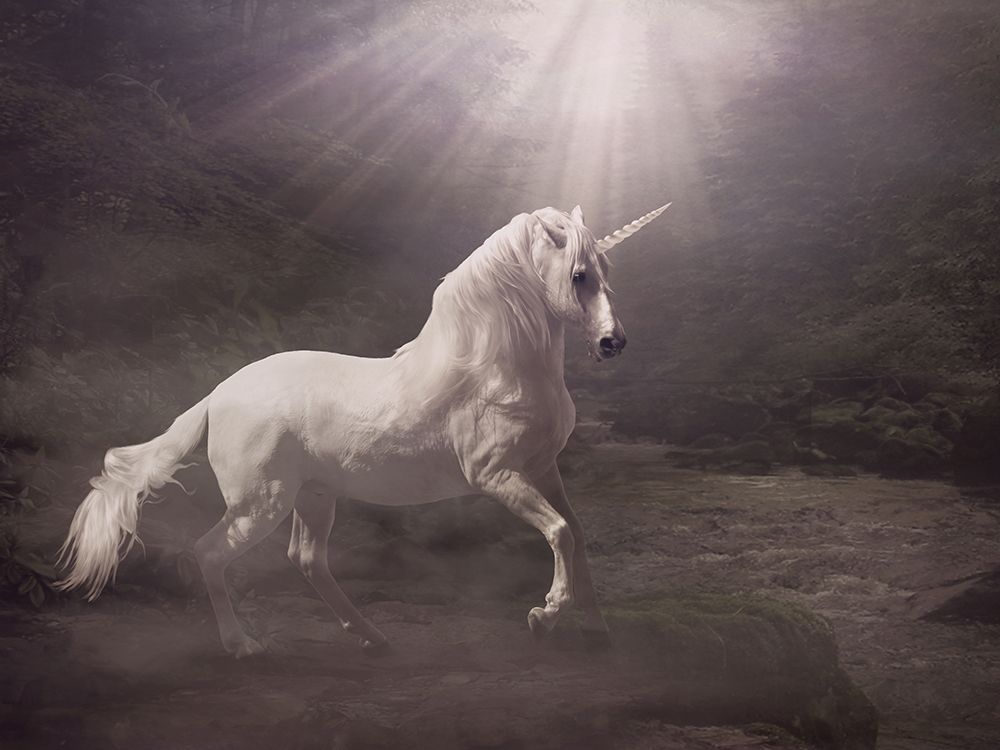 Unicorn