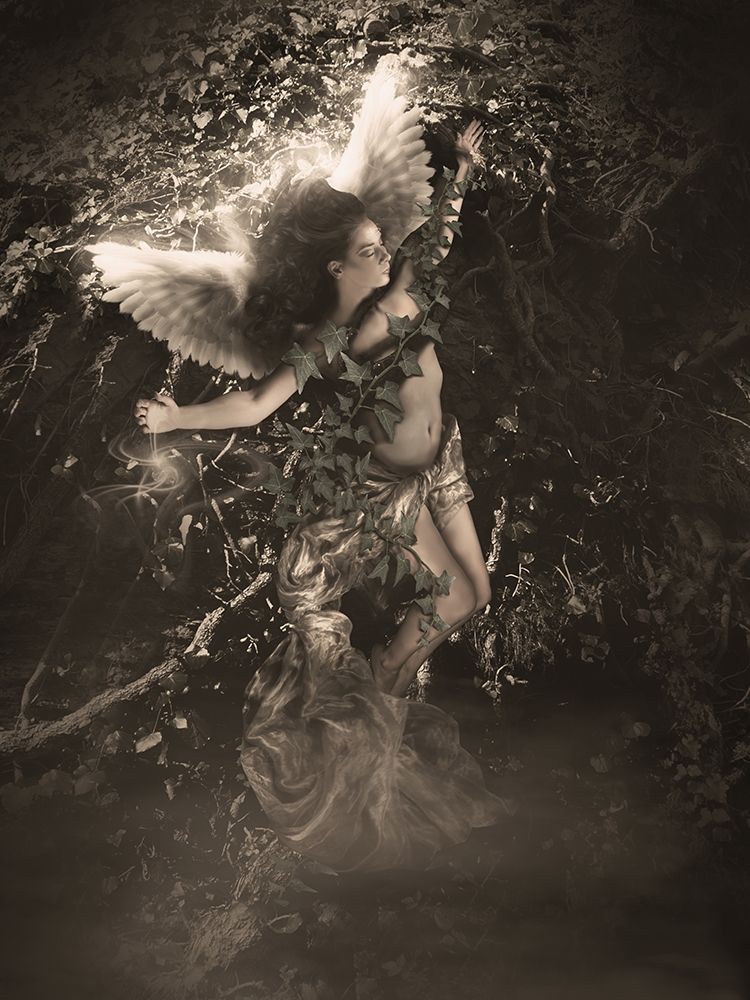 Angel 4