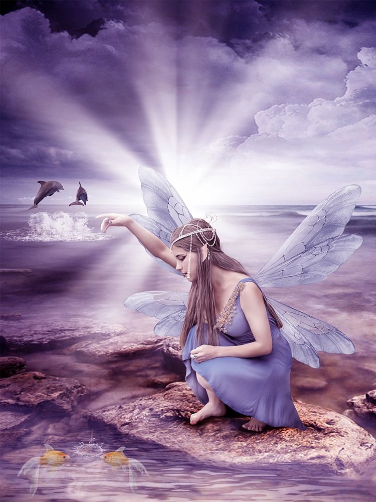 Fairy 4