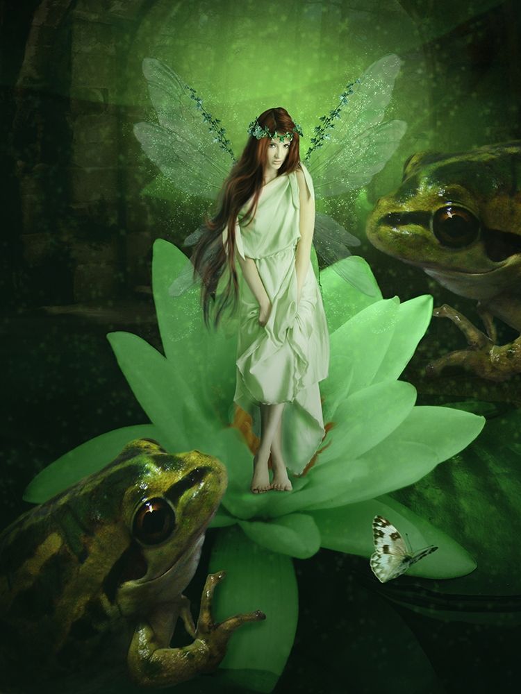 Fairy 46