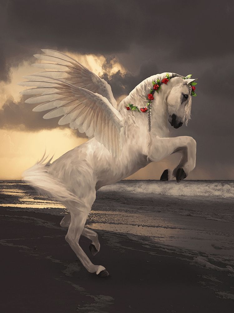 Pegasus With Roses