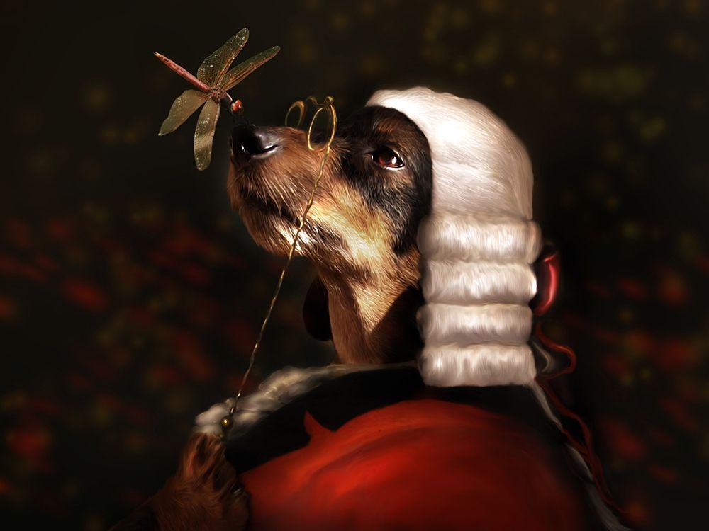Sir Dashound