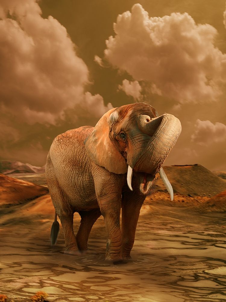 The Elephant Ricardo 3
