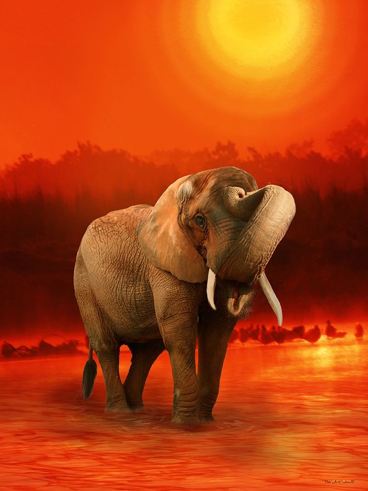 The Elephant Ricardo 6