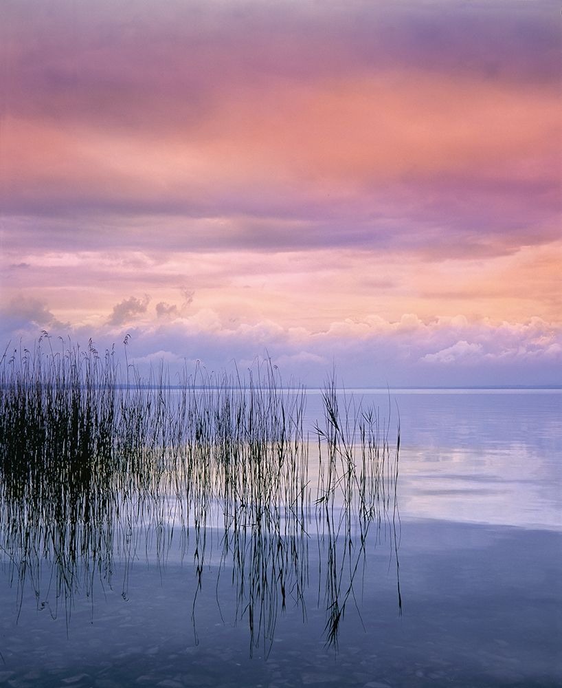 SETTING SUN I