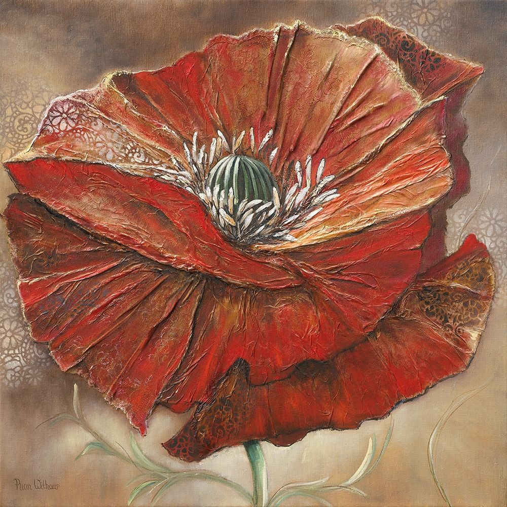 BOLD POPPY II