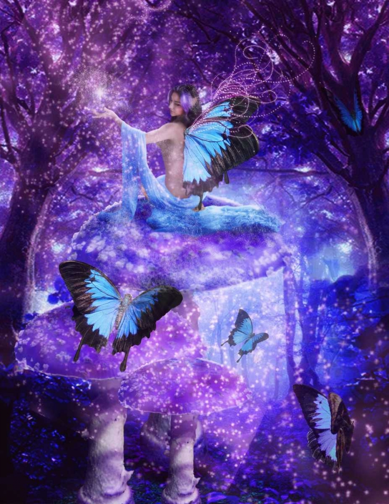 Sky Fairy