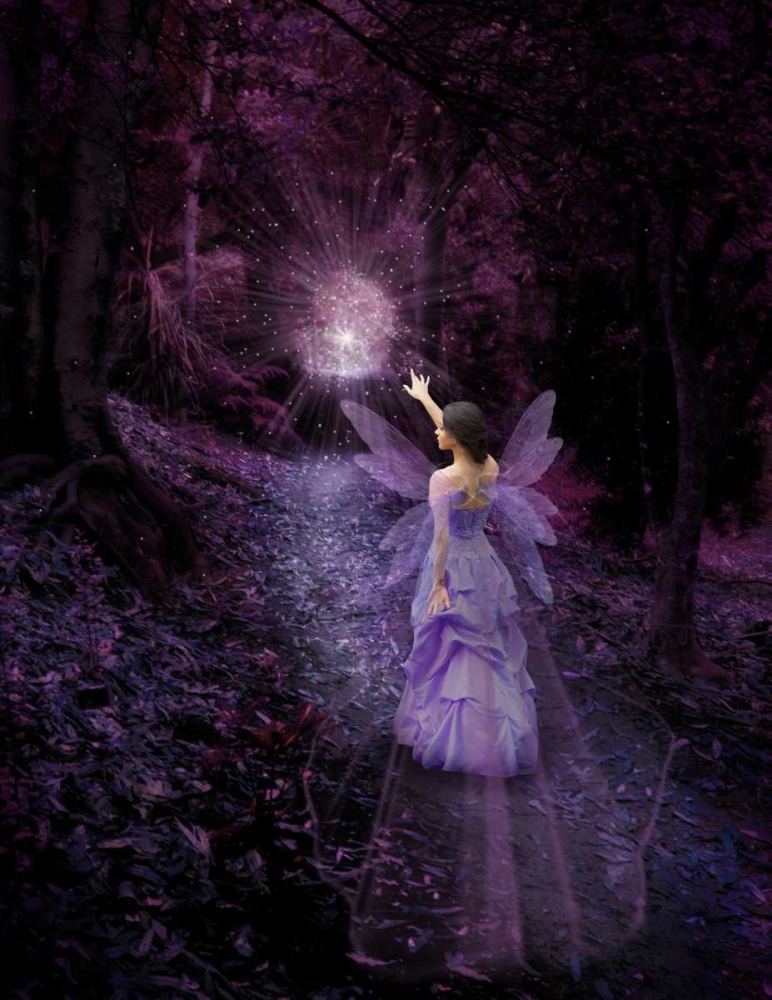Night Fairy