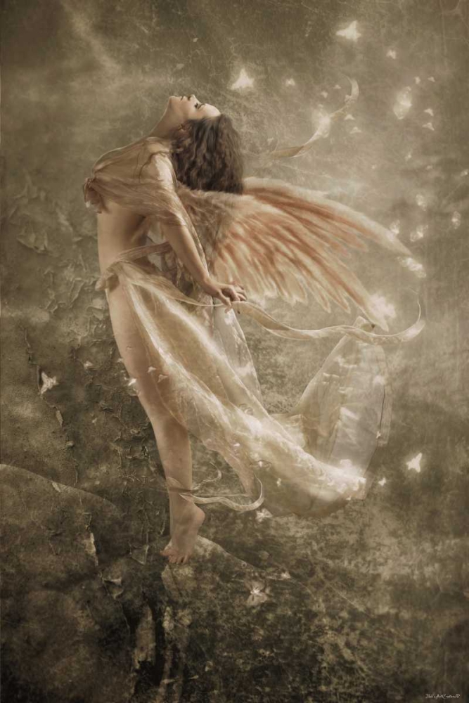 Wind Dance