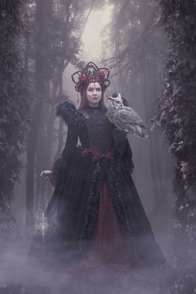 Woods Of Wisdom
