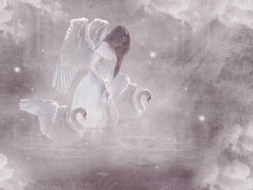 Swan Angel