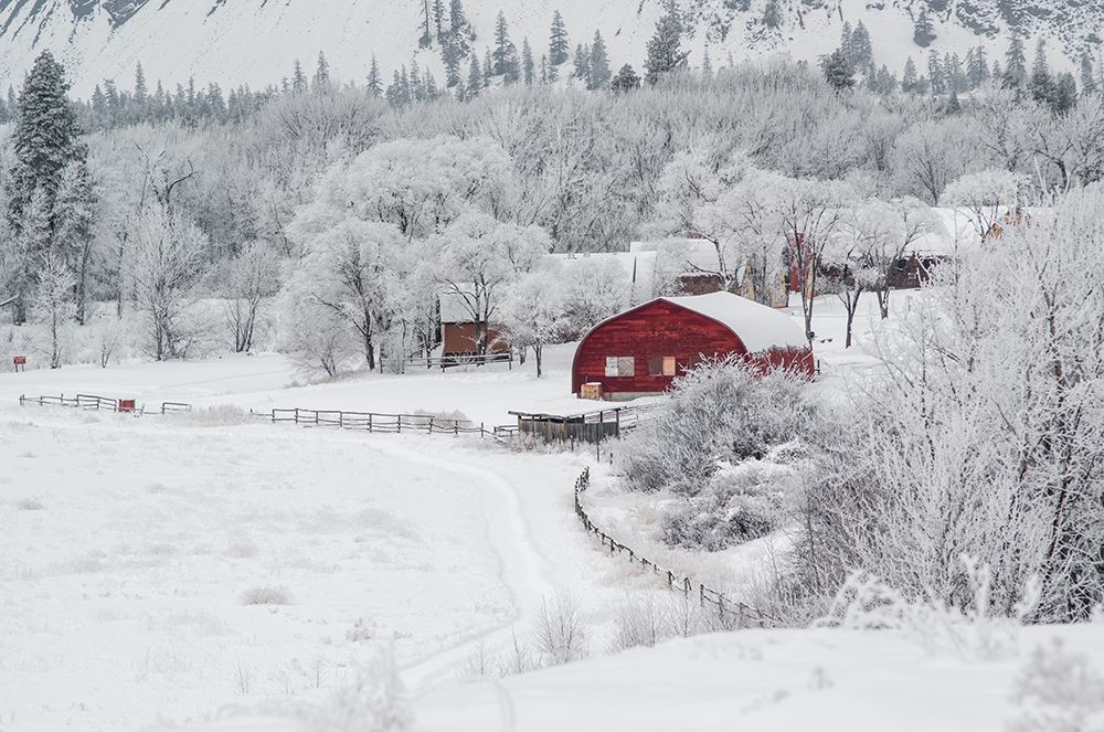 Dreamy Winter Farm